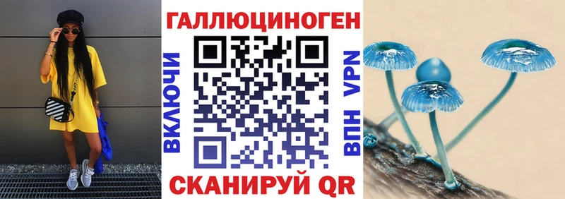 Галлюциногенные грибы Psilocybe  Купить закладки  Полевской 
